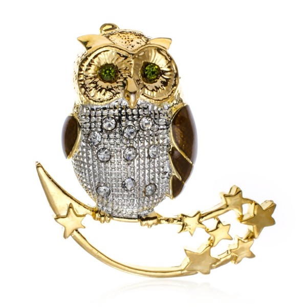 PammyJ Green and Clear Crystal Owl on Moon and Stars Brooch Pin - CP122K4G84H