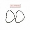 Plated Stainless Earrings Surgical 2 4inch