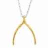 Silpada 'Wishbone' Sterling Silver and Brass Necklace- 36" - CG12N76WXI2