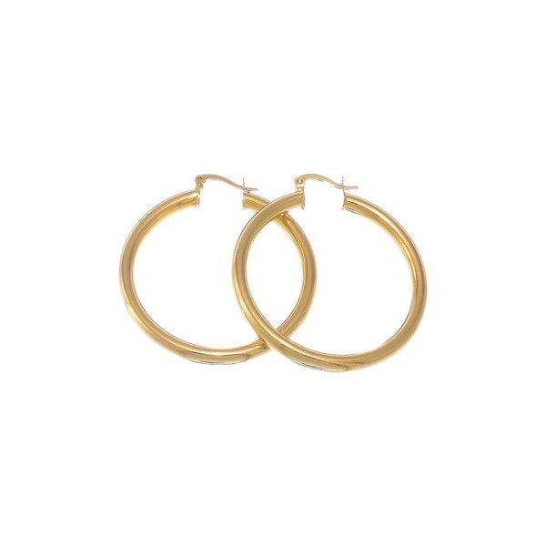 Gold Layered Classic 4mm Thick Hoop Earrings + Microfiber Jewelry Polishing Cloth - CF11LA6LXWN