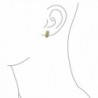 Bling Jewelry Crystal Magnetic Earrings in Women's Clip-Ons Earrings