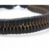 APECTO Leather Wristband Bracelet Handmade in Women's Link Bracelets