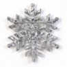 EVER FAITH Austrian Snowflake Silver Tone