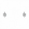 14k White Gold Turtle Stud Earrings with Screw Back - CD122E3VN7B