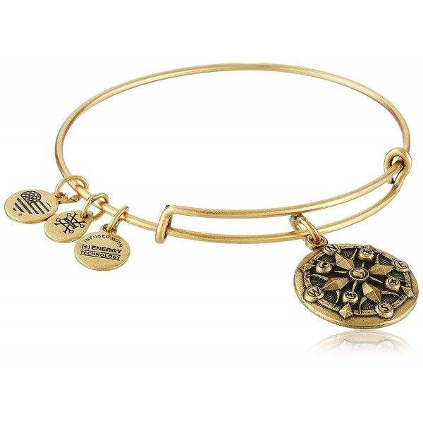 Alex and Ani Compass II Expandable Rafaelian Bangle Bracelet - Rafaelian Gold - CW128Y575VV