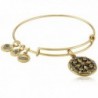 Alex and Ani Compass II Expandable Rafaelian Bangle Bracelet - Rafaelian Gold - CW128Y575VV