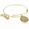 Alex Ani Expandable Rafaelian Bracelet