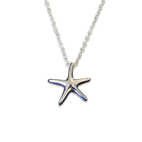 Silver Starfish with a Secret Cremation Necklace - Stainless Steel Urn Pendant - CX11XJZU1T5