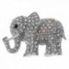 Alilang Indian African King Elephant Clear Crystal Rhinestone Animal Kingdom Silver Tone Brooch Pin - Clear2 - CE115YFMBVJ