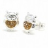 Pro Jewelry .925 Sterling Silver " Light Brown Crystal Owl" Stud Earrings for Children & Women Eccn Ow 10 - CU11JGCOX85