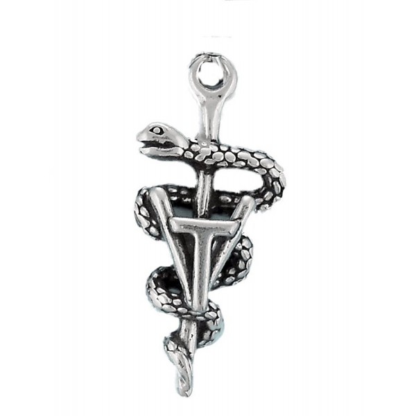 Corinna-Maria 925 Sterling Silver Vet Tech Veterinary Caduceus Charm - C11163VCQ8L