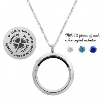 Friendship Forever Stainless Floating Necklace