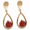 YAZILIND Elegant 18k Gold Filled Inlay Round Red Cubic Zirconia Waterdrop Design Dangle Drop Earrings - CY11MGQZKH1