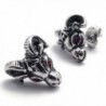 TEMEGO Jewelry Zirconia Stainless Earrings