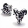 TEMEGO Jewelry Zirconia Stainless Earrings in Women's Stud Earrings