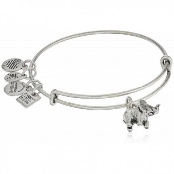 alex and ani charity by design- elephant ii bangle bracelet - Rafaelian Silver - CF182KIIK66