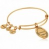 Alex Ani Symbols Expandable Bracelet