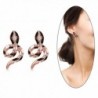 Eternity J. Cute 18K Rose Gold Plated Color Czech Drill Owl Snake Earrings Fancy Stud Earrings - Rose Gold Snake - C51887UNTGC