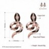 Eternity J Plated Color Earrings