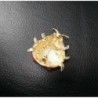 NOUMANDA Lovely Enamel Ladybug Brooch in Women's Brooches & Pins