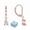 Buyless Fashion Hypoallergenic Surgical Steel Leverback Rose Gold Earring with Dangle CZ Stud - CG182ZORUO5