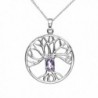 925 Sterling Silver Purple Amethyst Trinity Tree Of Life Round Pendant Necklace- 18 inches - CE11K4X63DN