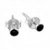 Sterling Silver Simulated Black Earrings