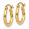Gold Polished Round Hoop Earrings