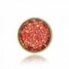 Bria Lou Flashed Swarovski Crystals - Red - CY1289GBPG1