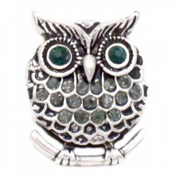 Owl with Teal Eyes Ginger Snap - Snap Button - CR17WWHSAWO