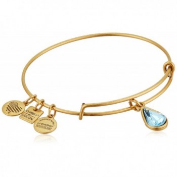 Alex and Ani Charity By Design Living Water International Bangle Bracelet - Rafaelian Gold - C911JV1N5BR