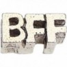 BFF Best Friend Forever Floating Locket Charm - CN11073DFI1