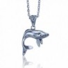 Whale Pendant in Sterling Silver on 18 Inch Stainless Steel Necklace - CK11DJDTLHP