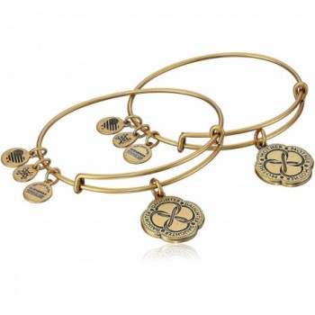 Alex and Ani Mom And Daughter Infinite Connection Set of Two Bangle Bracelet - Rafaelian Gold - CK17YD00H6W