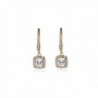 Anne Klein "Flawless" Gold-Tone and Cubic Zirconia Leverback Drop Earrings - CT11T6ACFW7