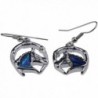 Silver Abalone Horseshoe Earrings Jewelry