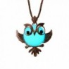 Owl Glowing Necklace Alloy Jewelry Blue Green Color 33 Inches Christmas Gift - CB127NFS4KT
