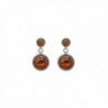 925 Sterling Silver Round Stud Dangle Earrings with Genuine Natural Baltic Amber. - Cognac - C112MA5WW6A