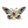 Women's 24k Gold Plated Alloy Painted Crystal butterfly Brooch - Gold - CB17YXUG7AR
