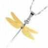 Dragonfly 3x4 3CM Stainless Necklace Aooaz