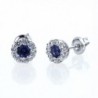 Platinum Plated Sterling Silver Cubic Zirconia Illusion Set Womens Stud Earrings-Other Colors - Blue - CL11P09E1UN